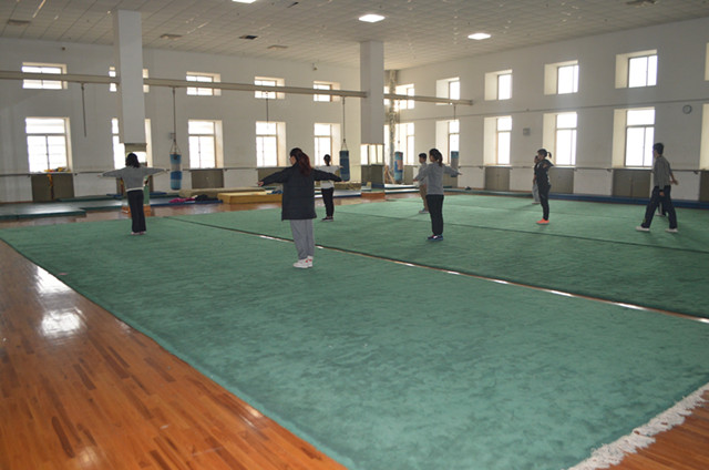 体育艺术系体育组教师到南京师范大学进行考察学习系列照片（二）
