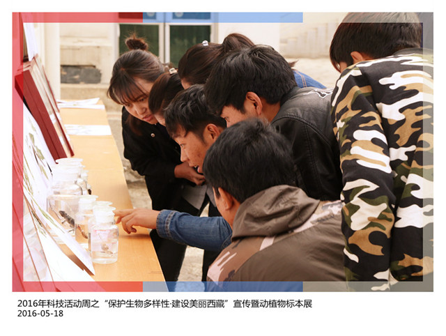 2016年科技活动周之“保护生物多样性·建设美丽西藏”宣传暨动植物标本展（