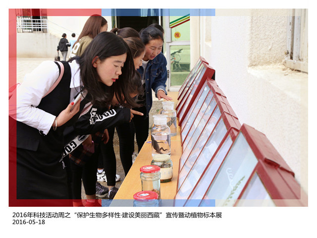 2016年科技活动周之“保护生物多样性·建设美丽西藏”宣传暨动植物标本展(2