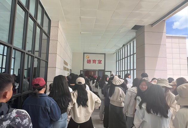 1692696828515934.jpg cd1b2a2f60ef0b34bd8b762f41dd4a6.jpg