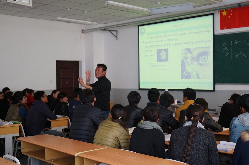 教育系教研活动