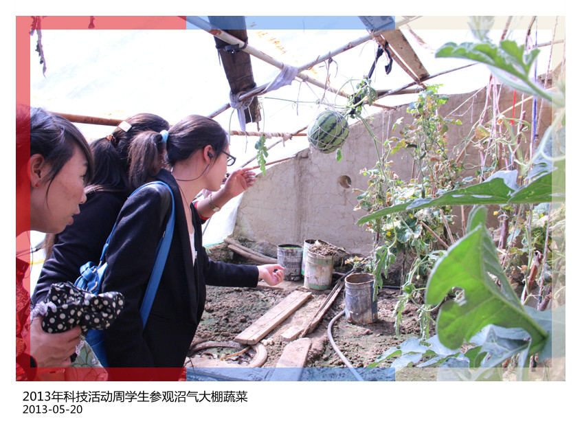 2013年科技活动周带学生参观沼气大棚蔬菜